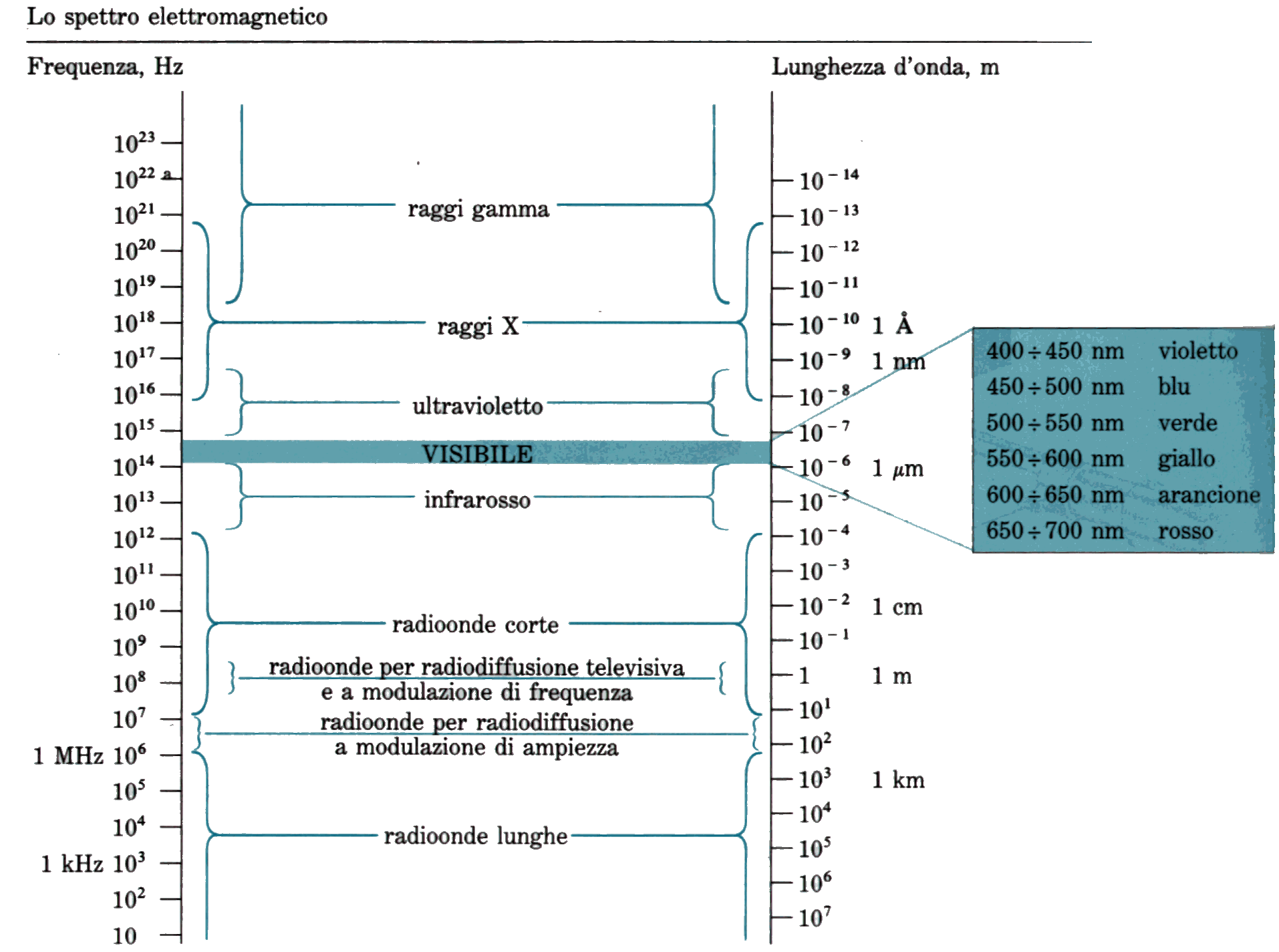 Lo spettro elettromagnetico.gif (167882 byte)